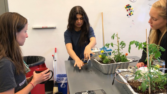 Fig: 2. Students presenting to Annie O’Sullivan, our Greenhouse Soil Manager.