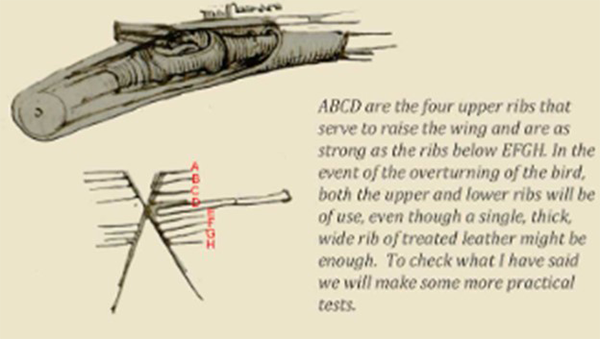 Fig.3