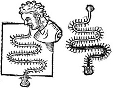 Typical design of a thermoscope. Image courtesy of the authors of History of the Thermometer, via Europe PMC.